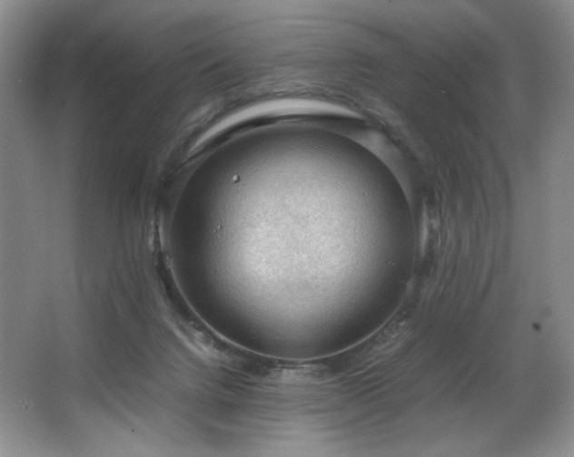 X0000066940072200603241153