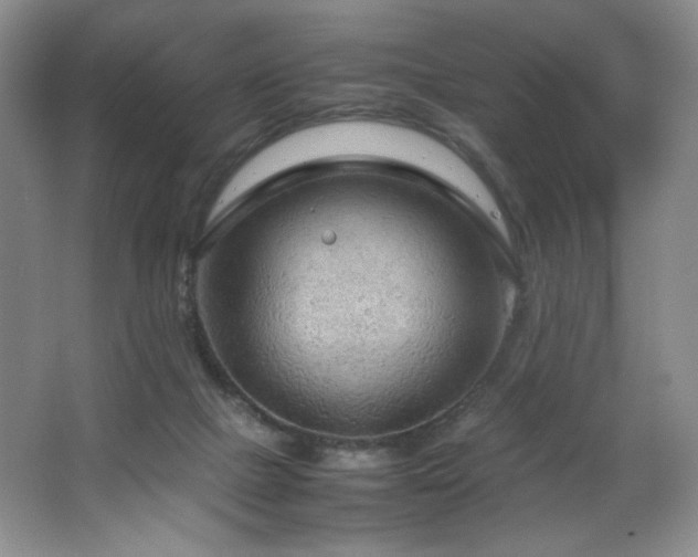 X0000066940073200603241153