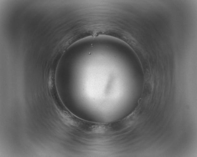 X0000066940074200603241153