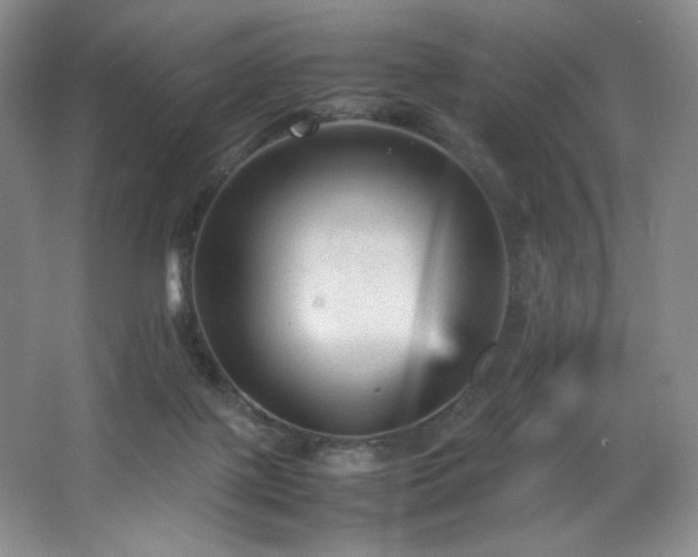 X0000066940075200603241153