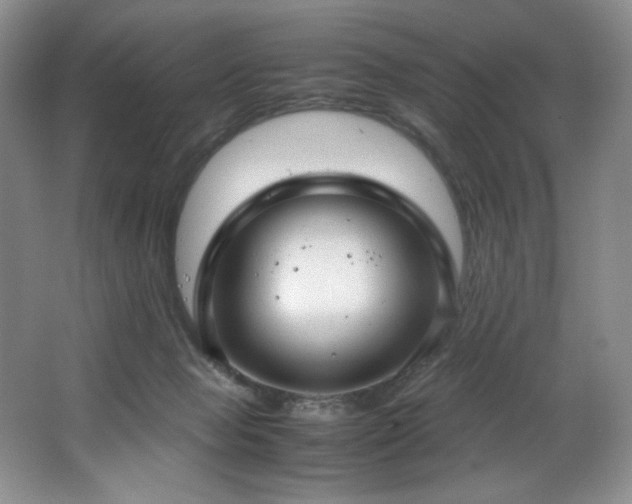 X0000066940077200603241153