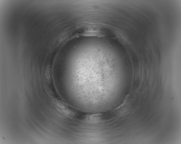 X0000066940078200603241153