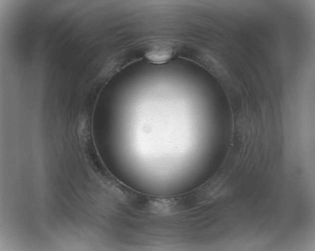 X0000066940079200603241153