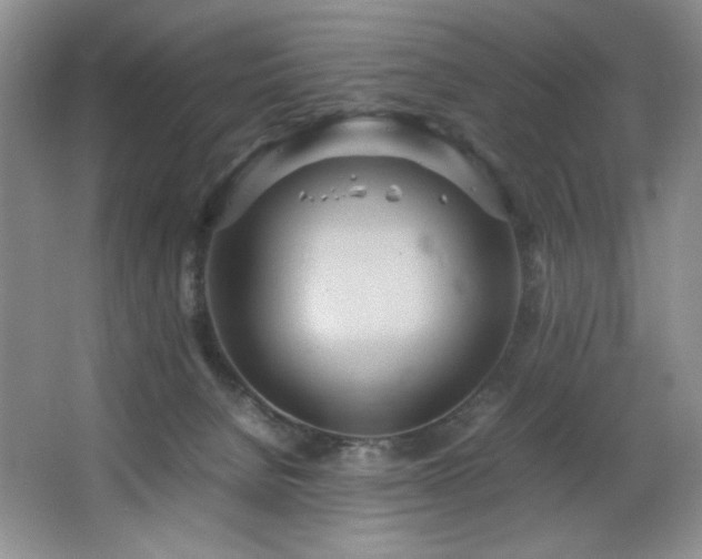 X0000066940080200603241153