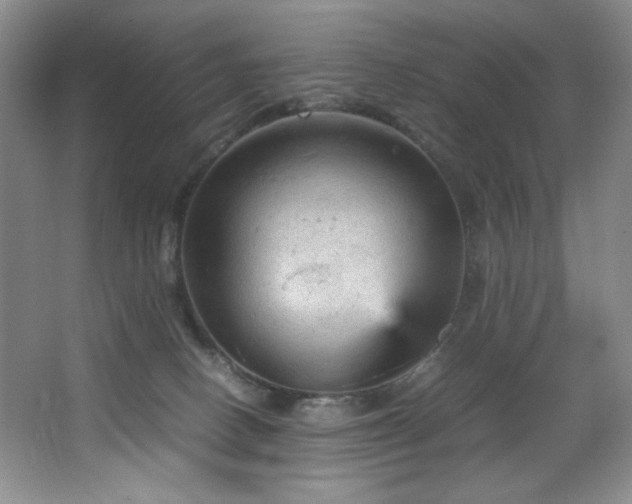 X0000066940082200603241153