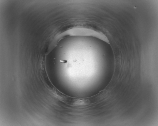 X0000066940083200603241153