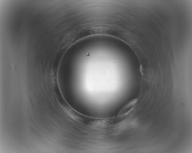 X0000066940086200603241153