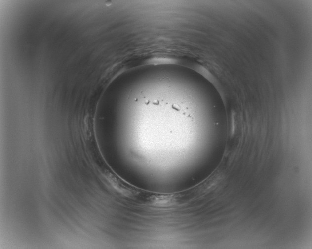 X0000066940088200603241153