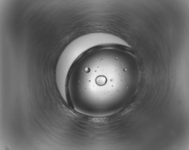 X0000066940089200603241153