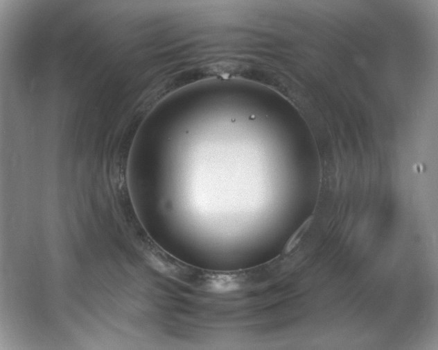 X0000066940091200603241153