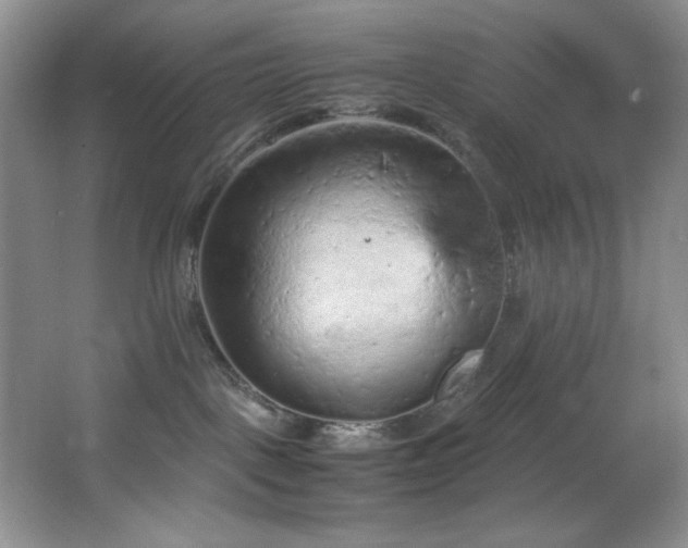 X0000066940093200603241153