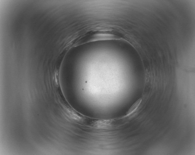 X0000066940094200603241153