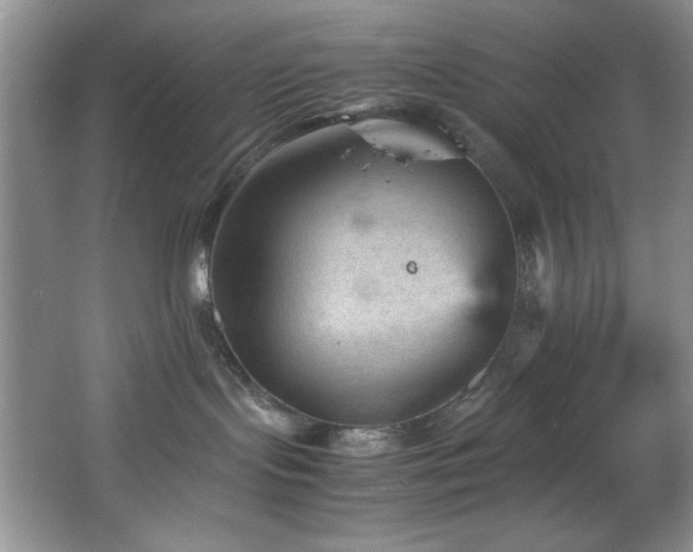 X0000066940095200603241153