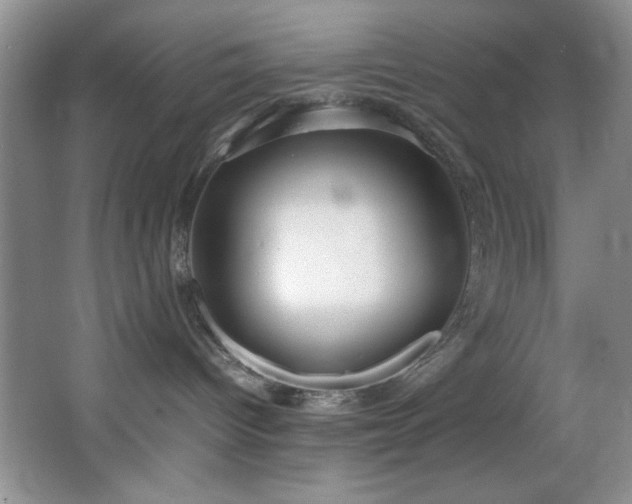 X0000066940096200603241153