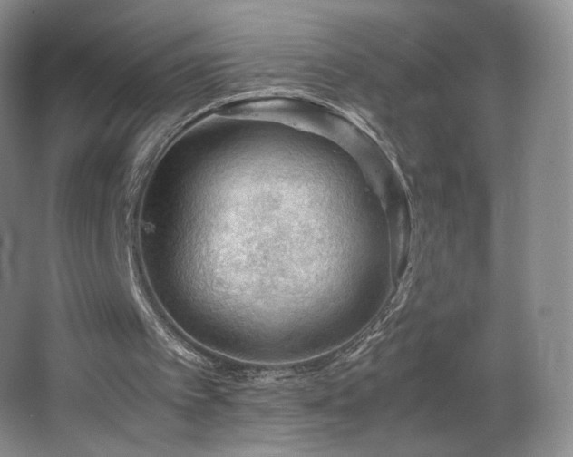 X0000066940097200603241152