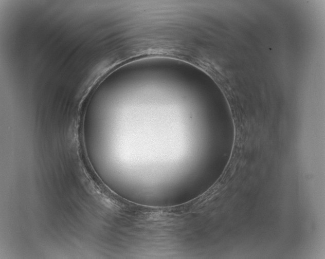 X0000066940098200603241152