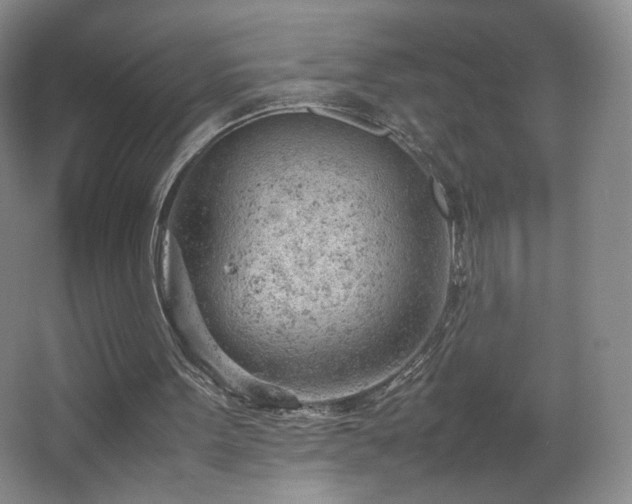 X0000066940099200603241152