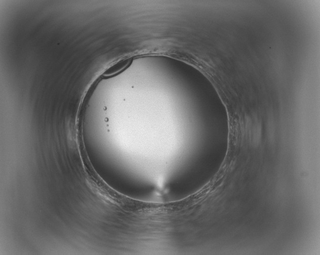 X0000066940100200603241152