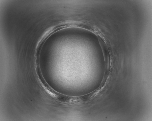 X0000066940101200603241152