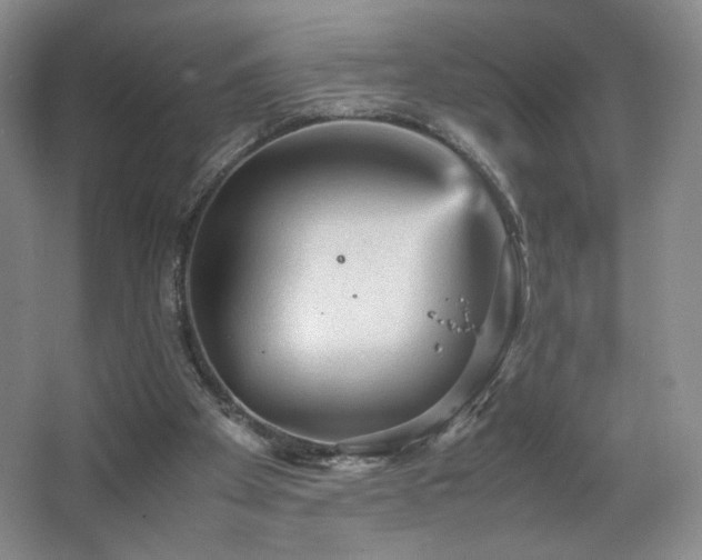 X0000066940105200603241152