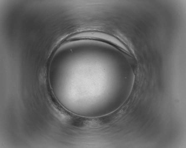 X0000066940107200603241152