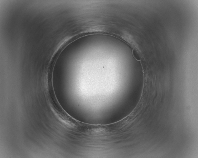 X0000066940108200603241152