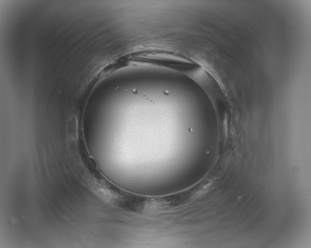 X0000066940109200603241152