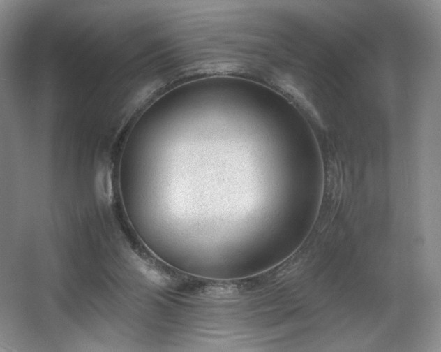 X0000066940110200603241152