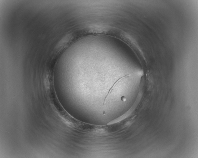 X0000066940114200603241152