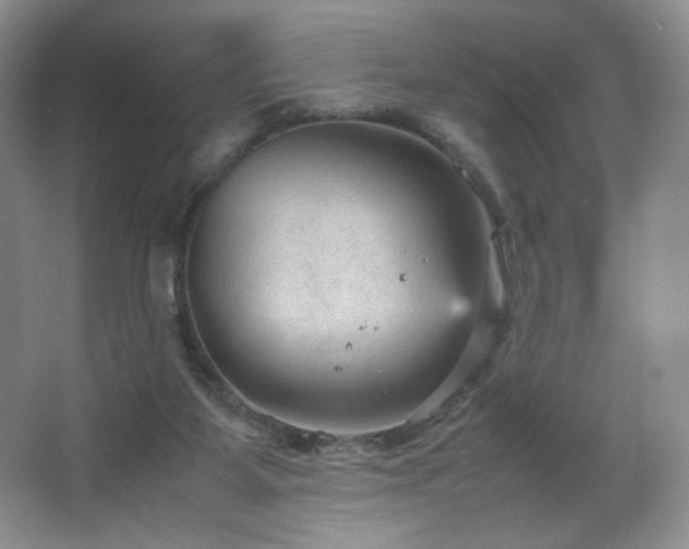 X0000066940115200603241152