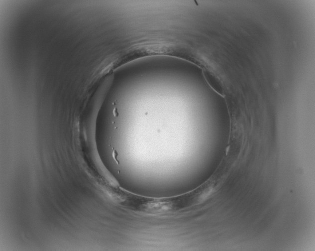 X0000066940117200603241152