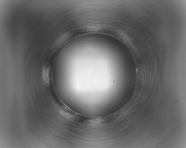 X0000066940118200603241152