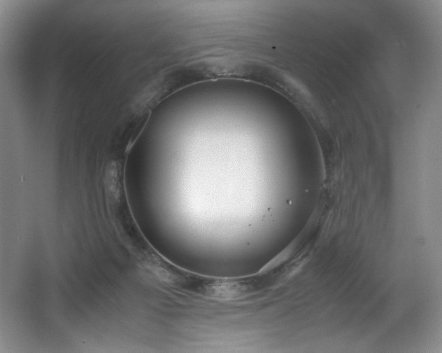 X0000066940121200603241152