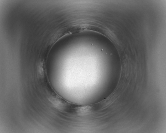 X0000066940122200603241152