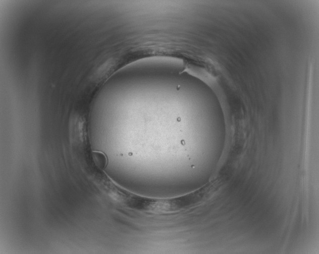 X0000066940123200603241152