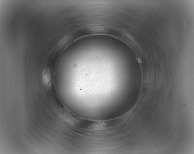 X0000066940124200603241152