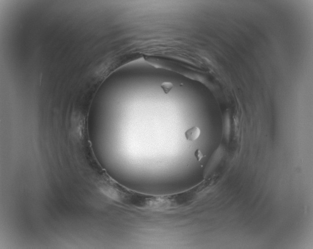 X0000066940125200603241152