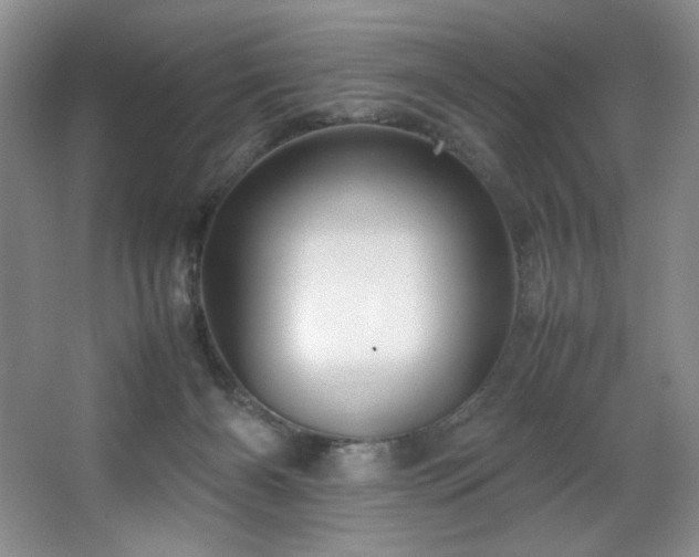 X0000066940126200603241152