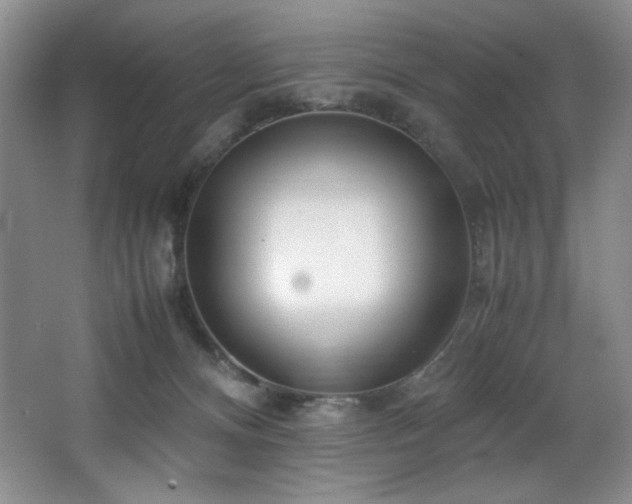 X0000066940128200603241152