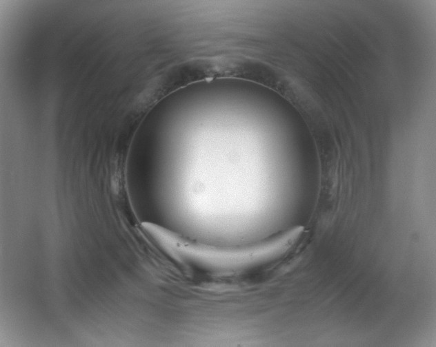 X0000066940129200603241152