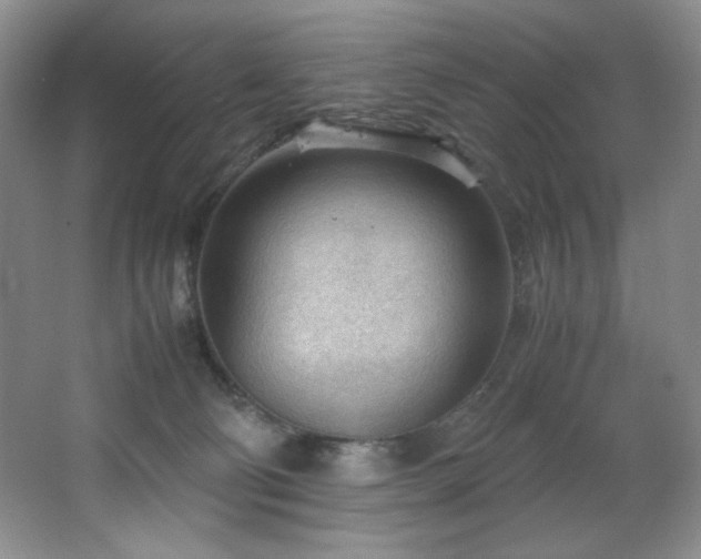 X0000066940130200603241152