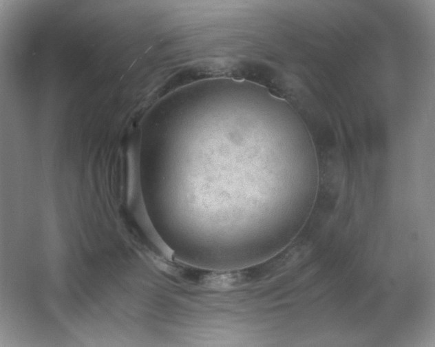 X0000066940131200603241152