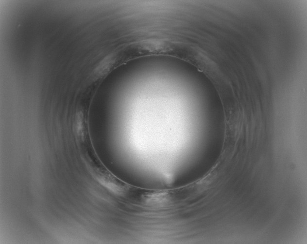 X0000066940132200603241152