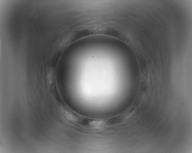 X0000066940133200603241152