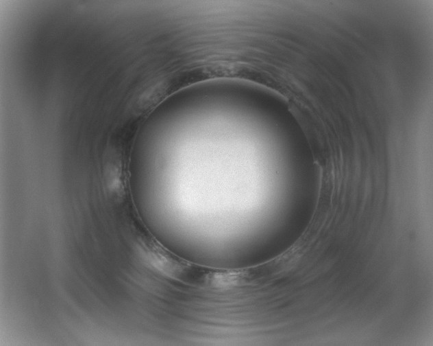 X0000066940134200603241152