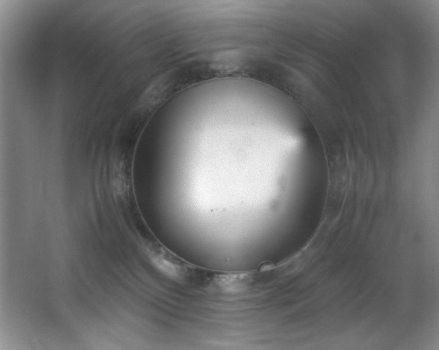 X0000066940136200603241152