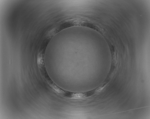 X0000066940137200603241152