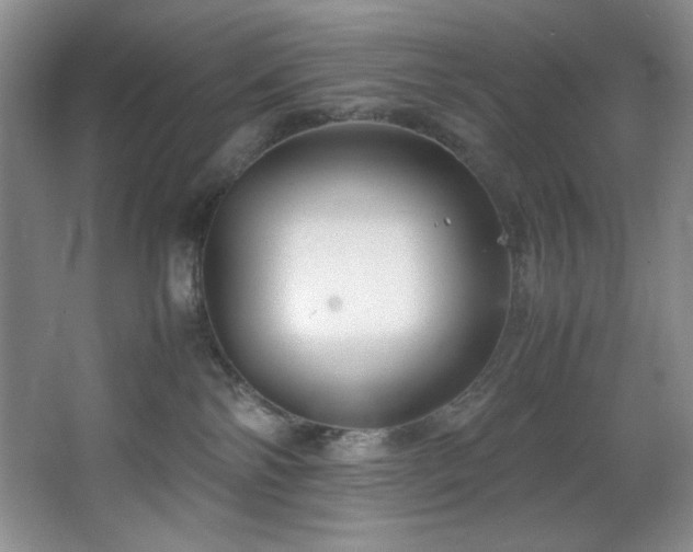 X0000066940138200603241152