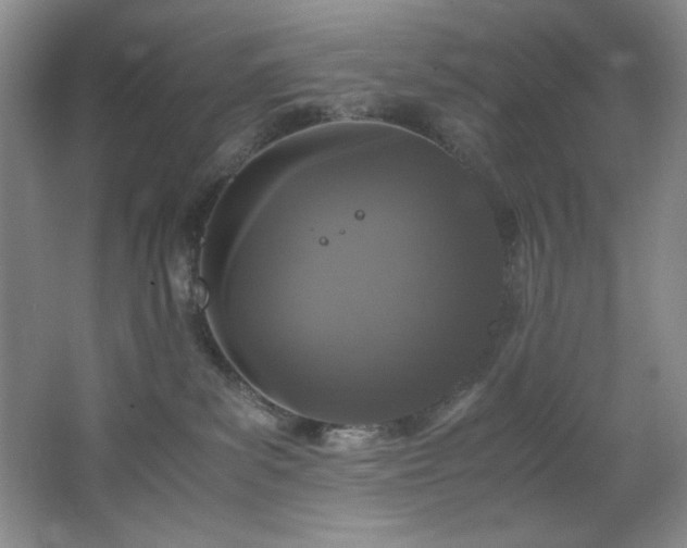 X0000066940139200603241152