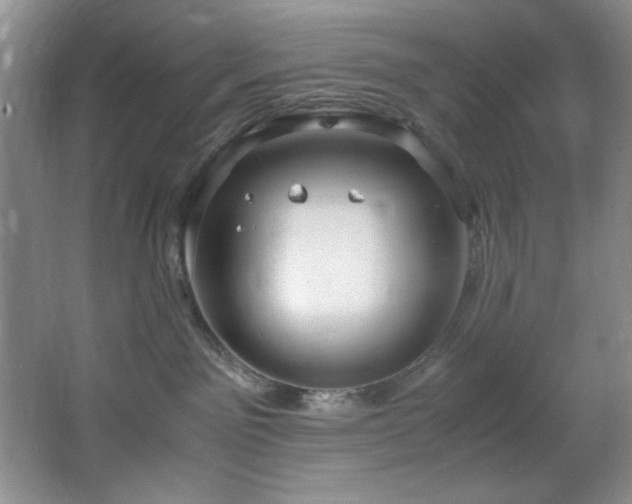 X0000066940141200603241152